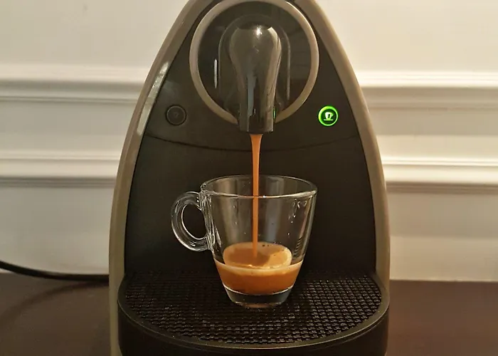 Guest house Navona Central 4*